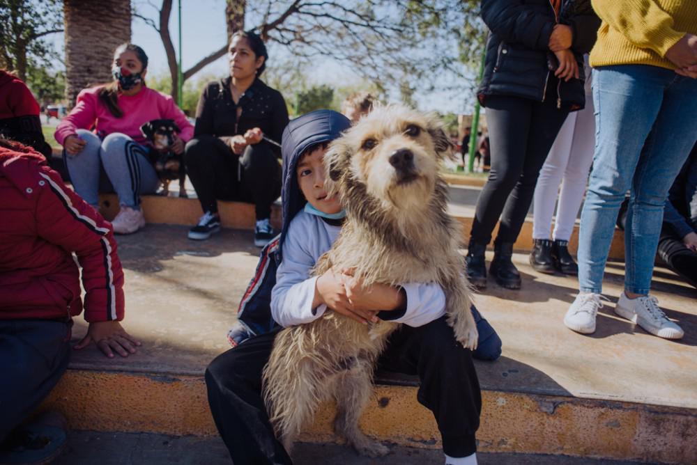 esterilizacion