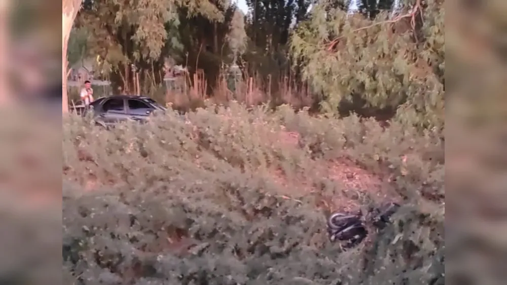 InShot_20250110_121623771