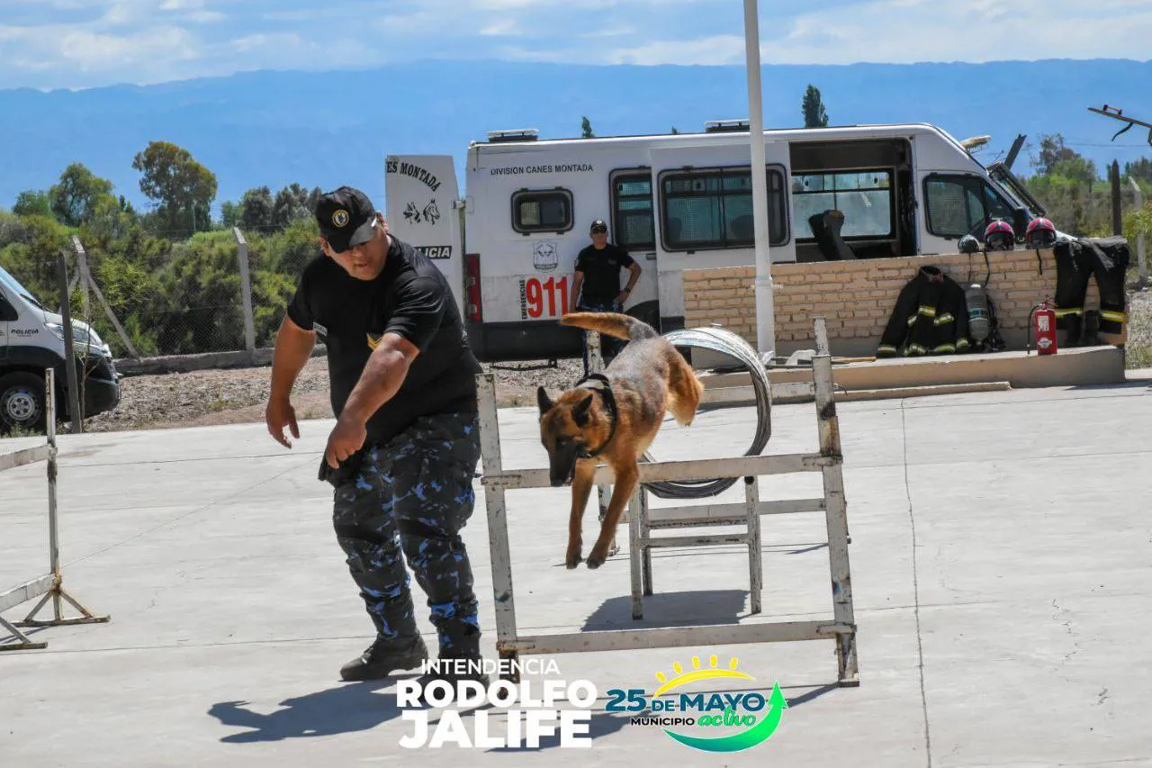 578106052_1238450844994773_6543494012701274669_n