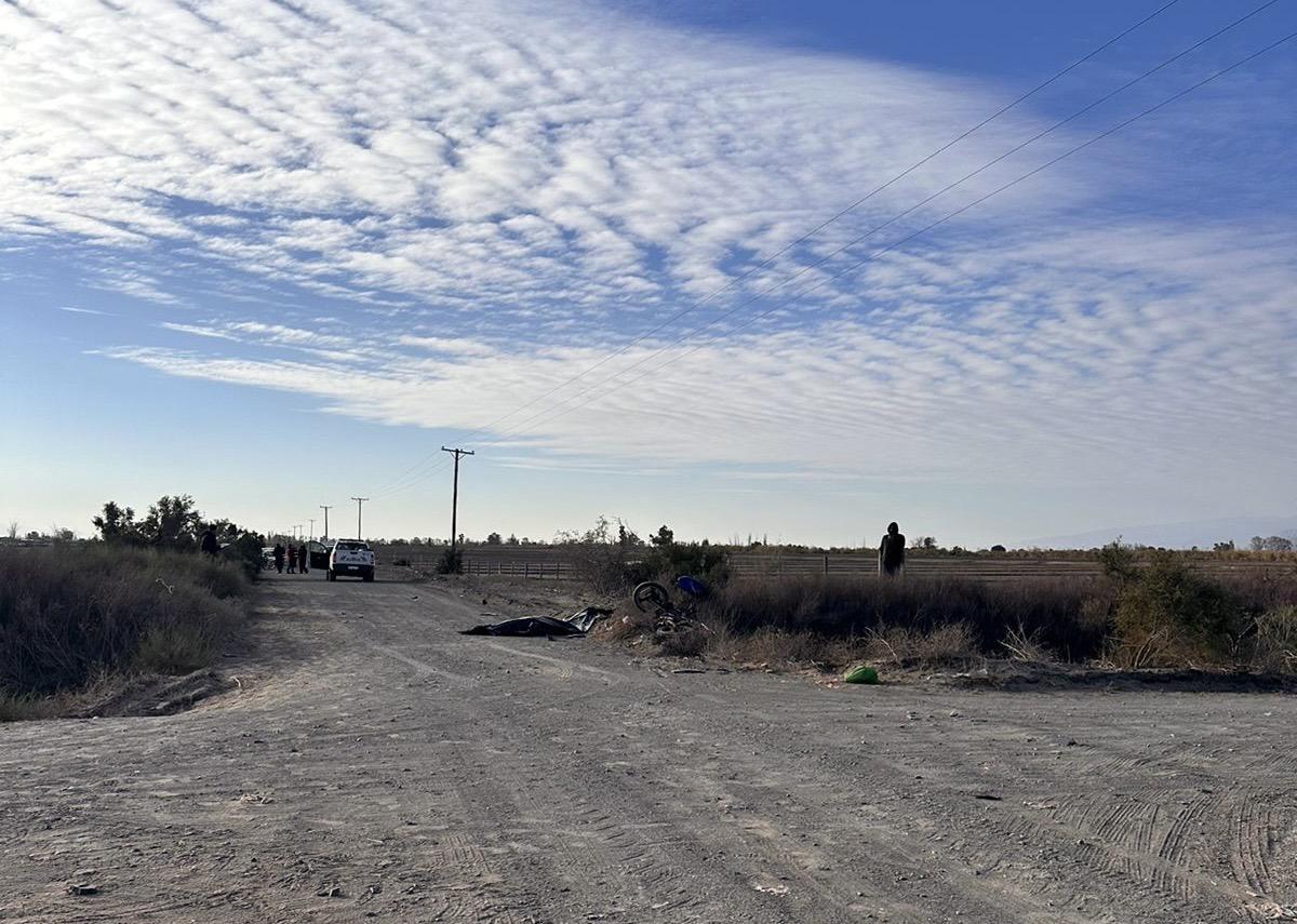 c1d91a50-0fae-43d1-95dc-c248bc15349c