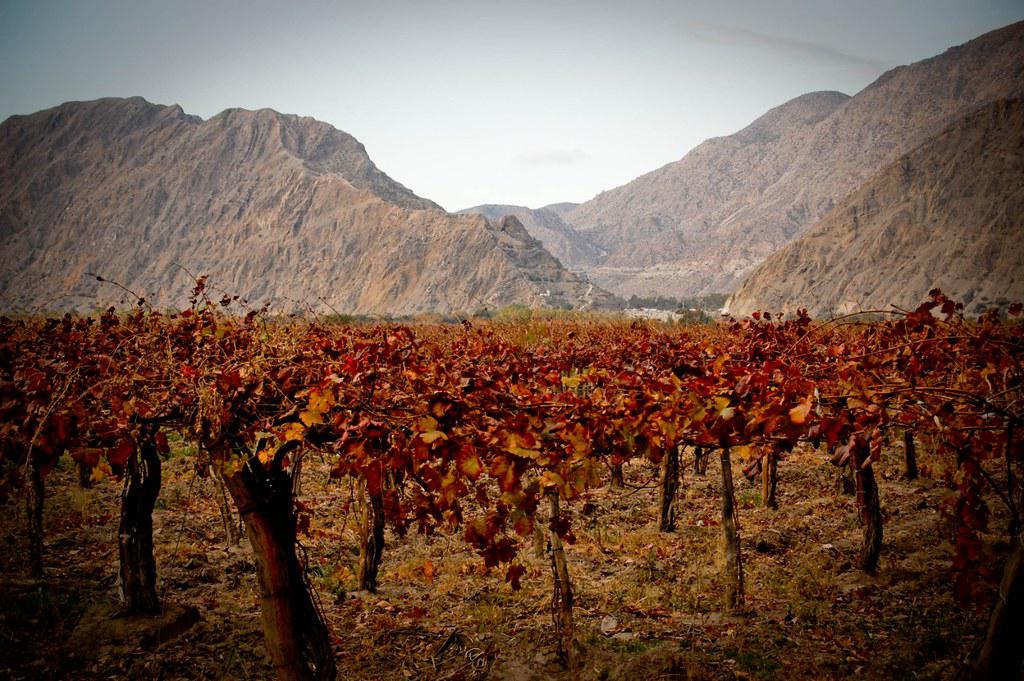 51012052158_e1d9c088bf_b