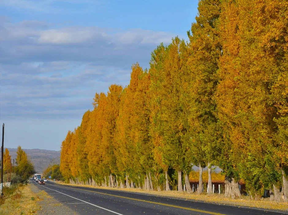 otoño caucete