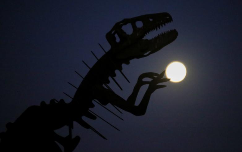 d03767e0c68dfe92fc76791649bb5e3d_L