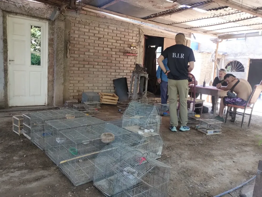 a61176ba-5a2f-4df7-80dd-d62fbf3aada5