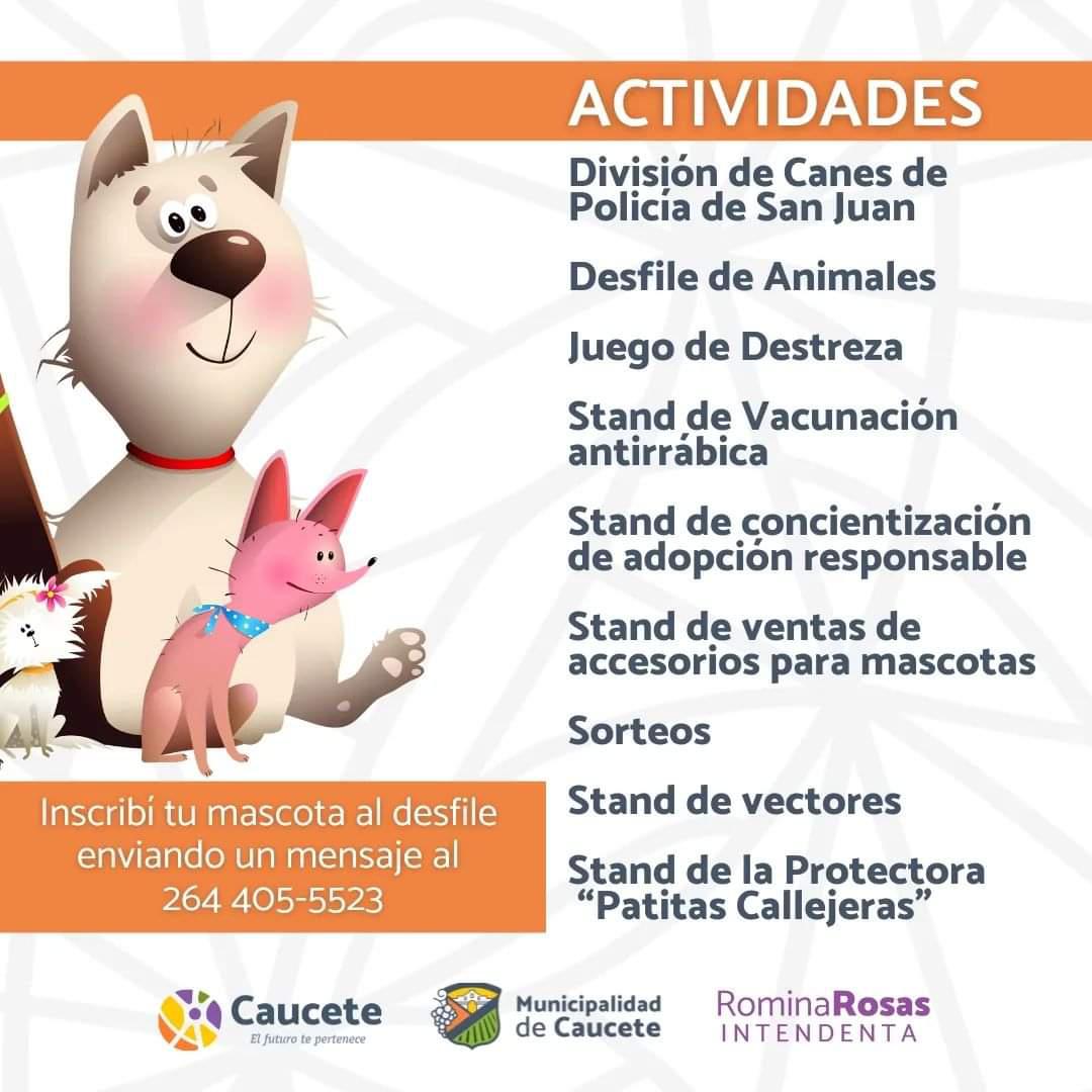 FB_IMG_1715281558799