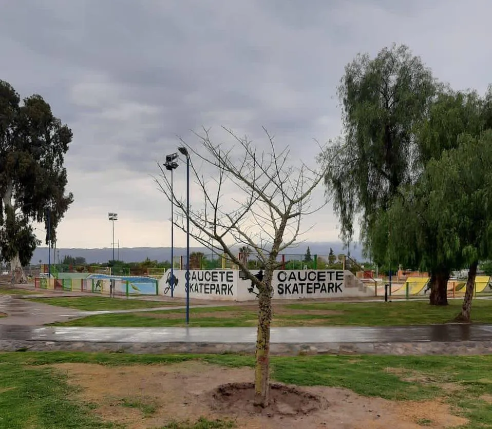 SkatePark