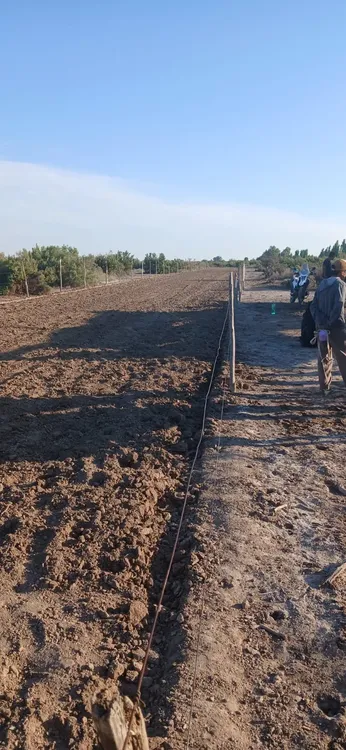 3e1d798d-ff13-427f-b5d0-a9eee9ceaebd