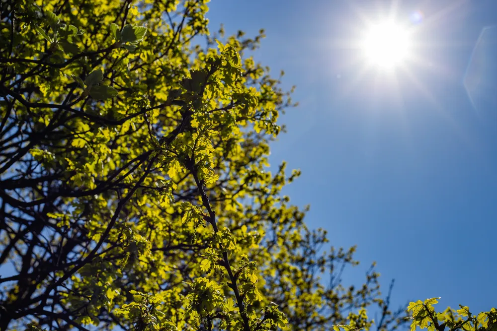 tiempo primavera