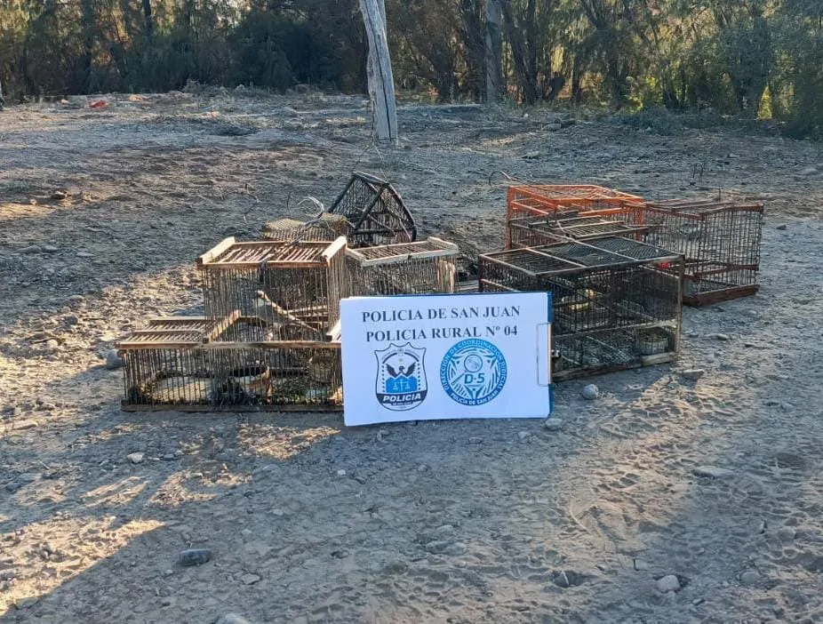 7edf9e9e-6a68-43a5-83bd-43f279b08ba0