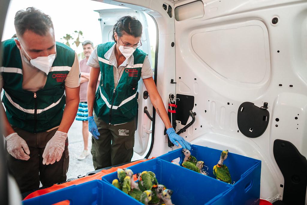 53485808577_cb1562a7d2_b orig