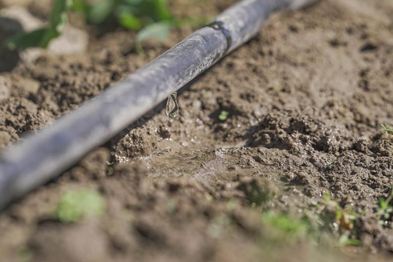 dd26adadb163fe7cab6ca0f531aeb72e_L