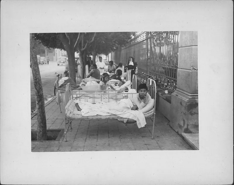 52628556706_77cb3796a0_c