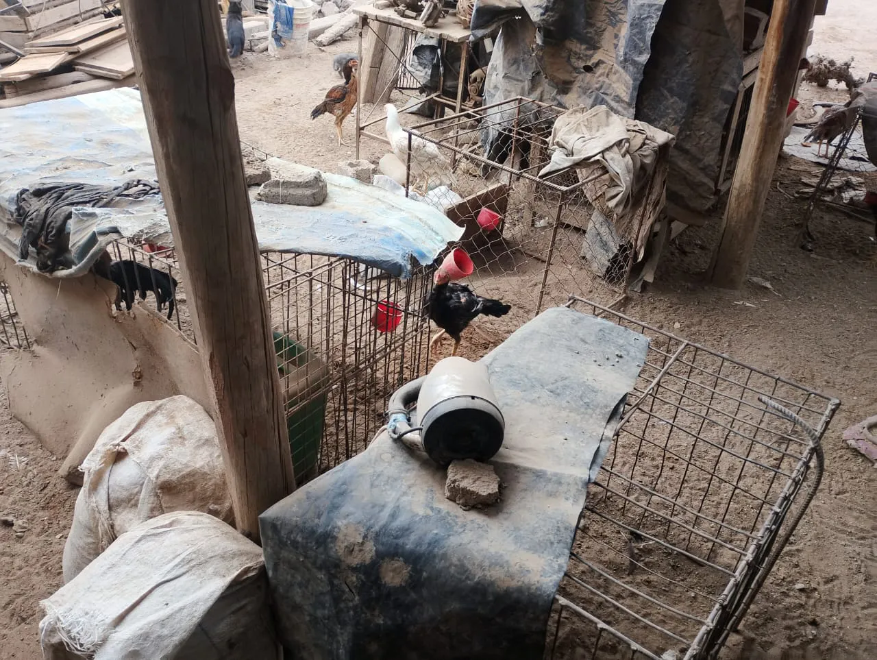 6b3bc287-6c6a-4245-8c9c-48d0b1690f20