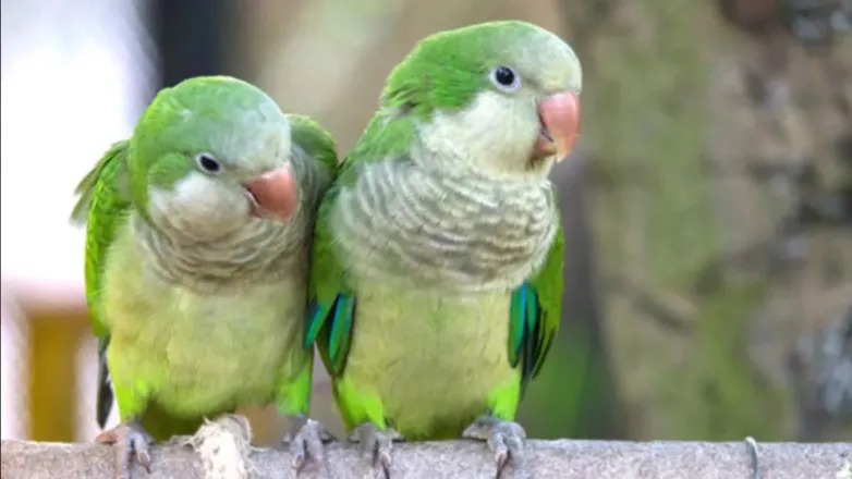 2d4f9dae616881d5707b2a3b3170c30e_L