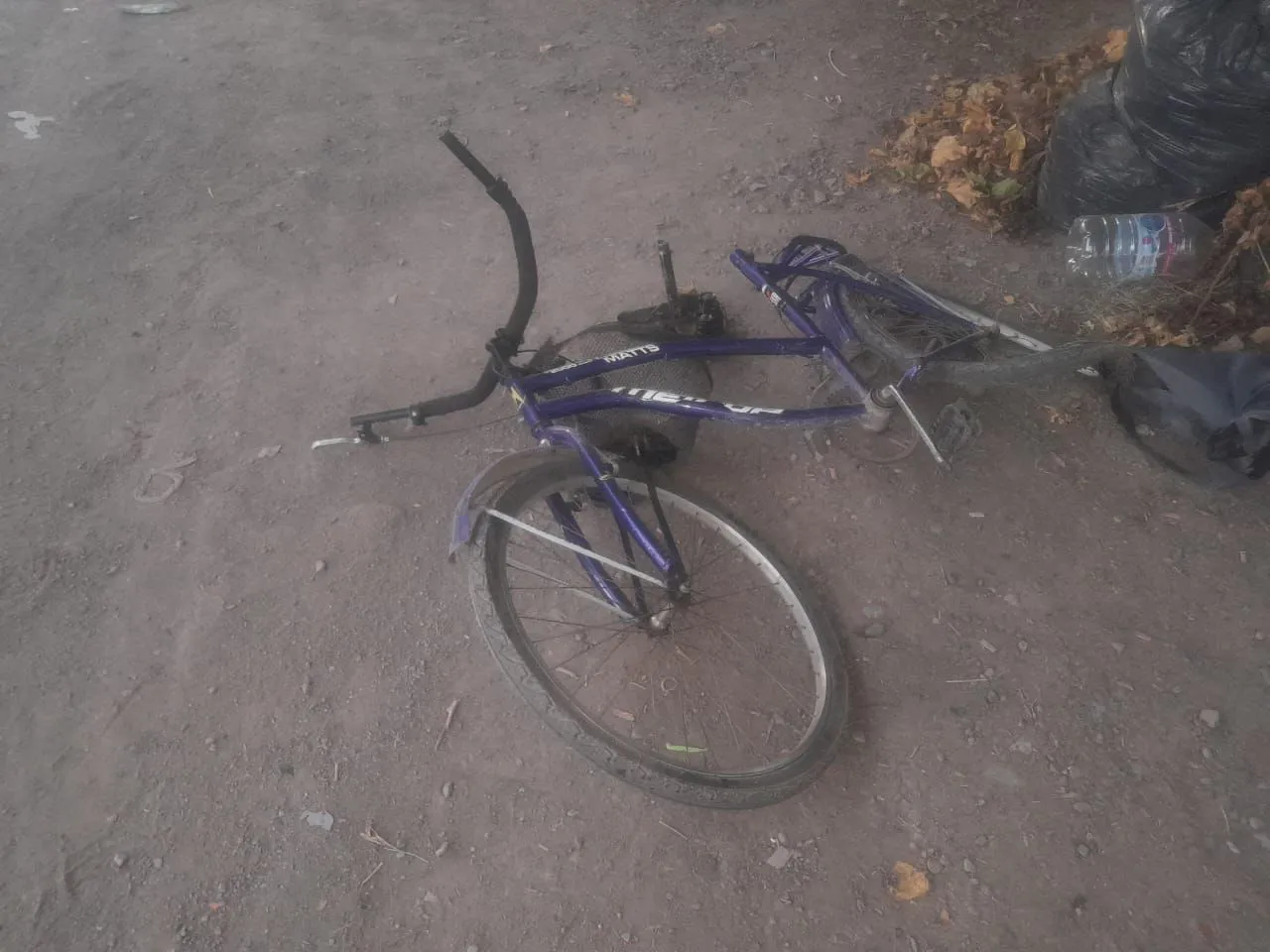 330088a8-50b9-487c-8821-e98fab6d4895