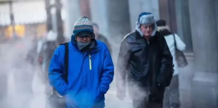 ola polar
