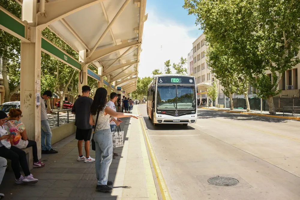 DISCAPACIDAD LINEA