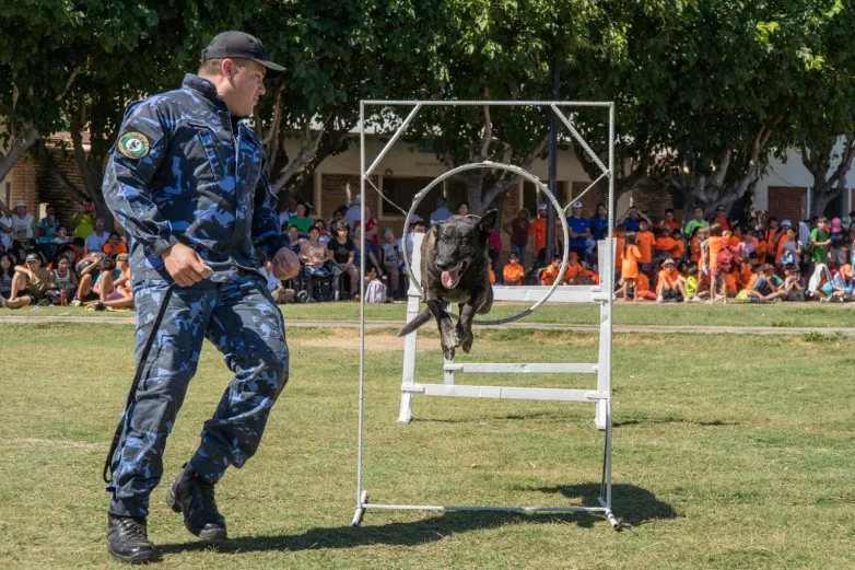 9268d43f3a6cd53c780d2c2a55c64085_L