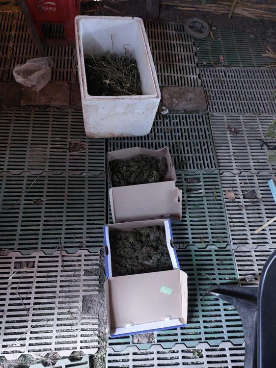 9d78fae1-f5f1-4d76-b500-bd315eeed761