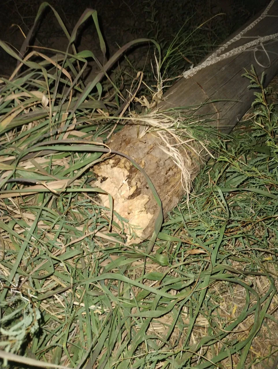 871b8249-0e73-4df1-a709-97019b3b0171