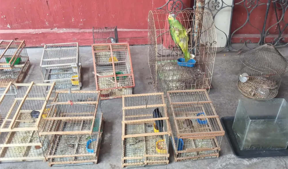 b99e3f74-7195-4e0e-b4f6-0517f3e2cf51