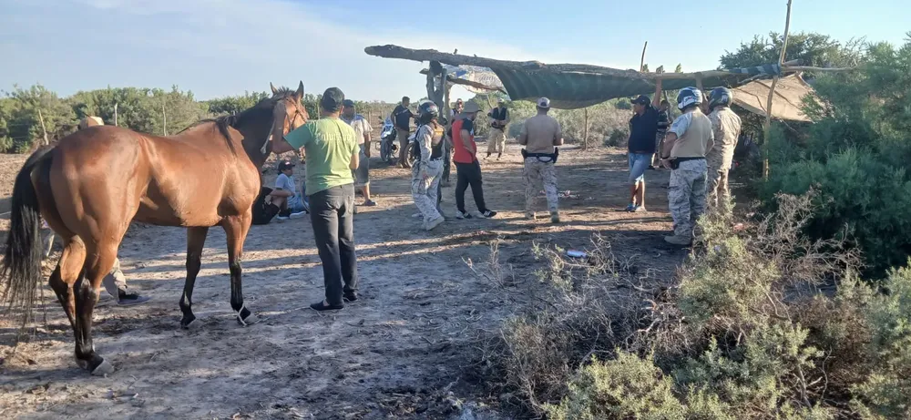 41c7602f-ac91-41ab-b34e-6767d39f471b