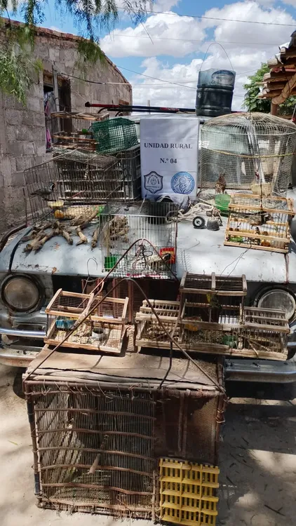 da6cc743-0023-4618-9be9-f8e24bb0b50e