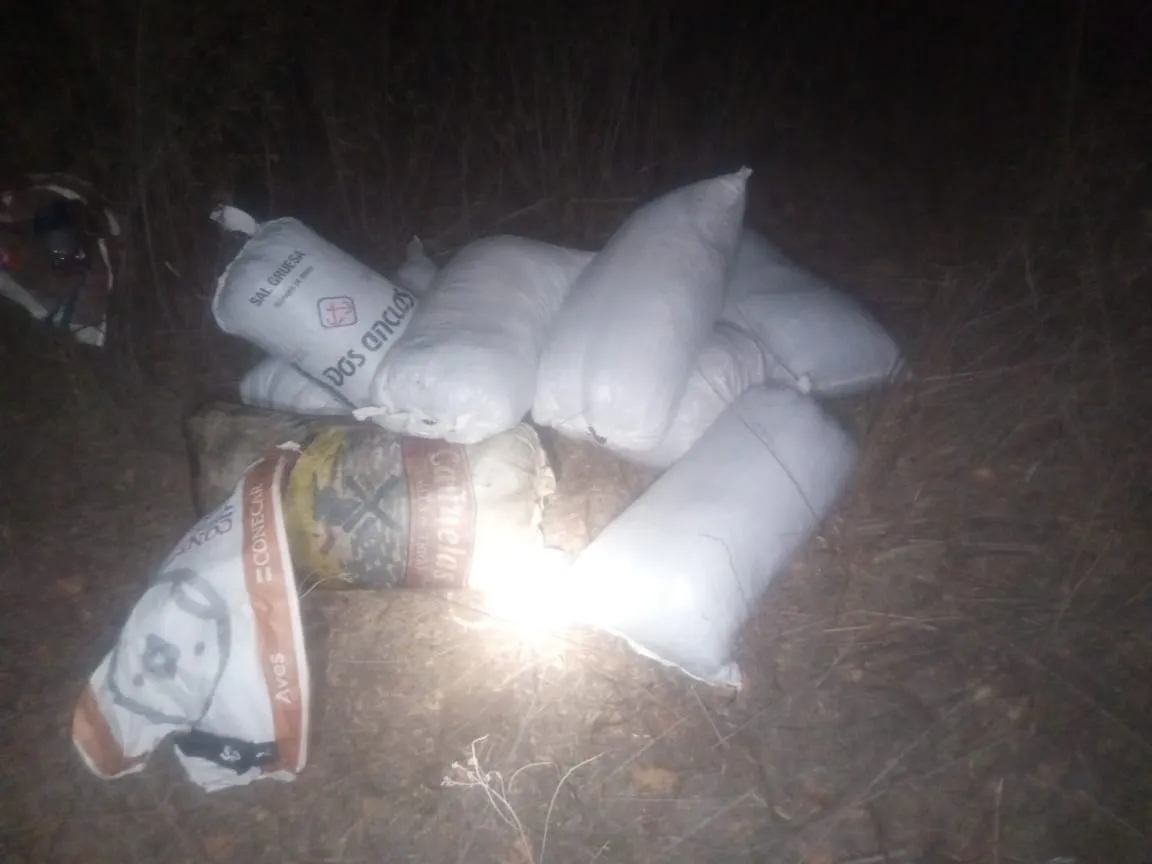 7ecaba1b-1b89-413a-89c1-9112039ffd35