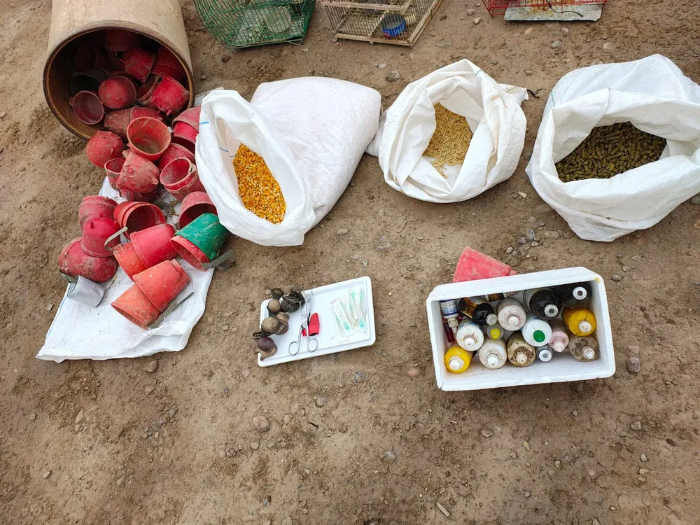 f7a3a513-2b7f-47d4-b533-c6b0f01bfa06