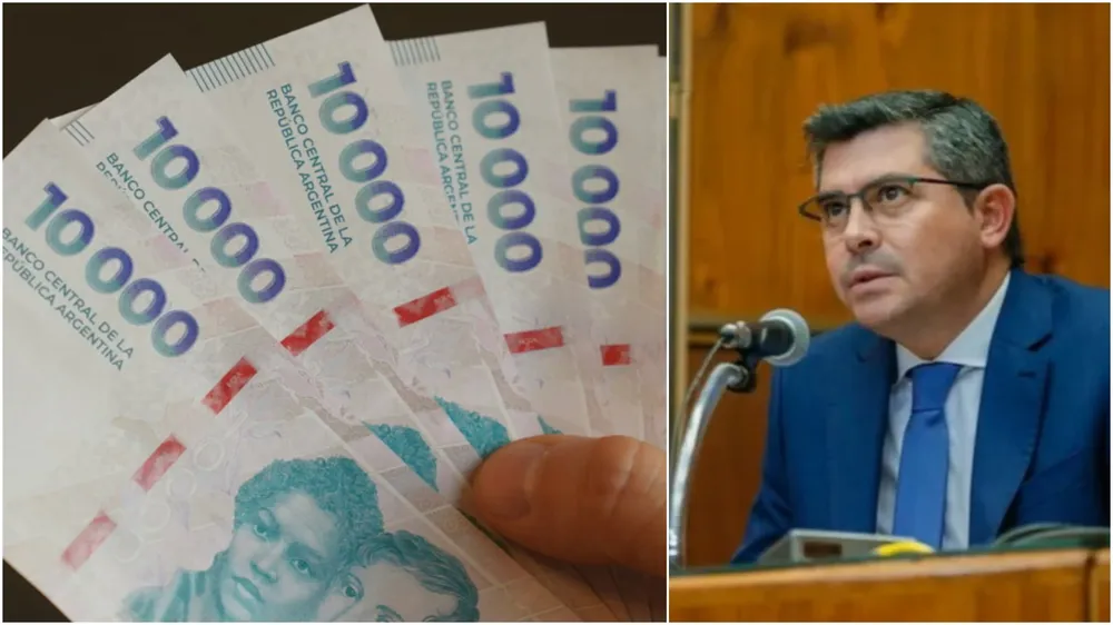 InShot_20241220_120109049