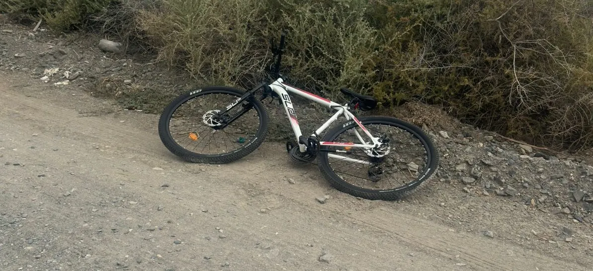 409e39e0-0c7b-414c-91ab-1132c998e568