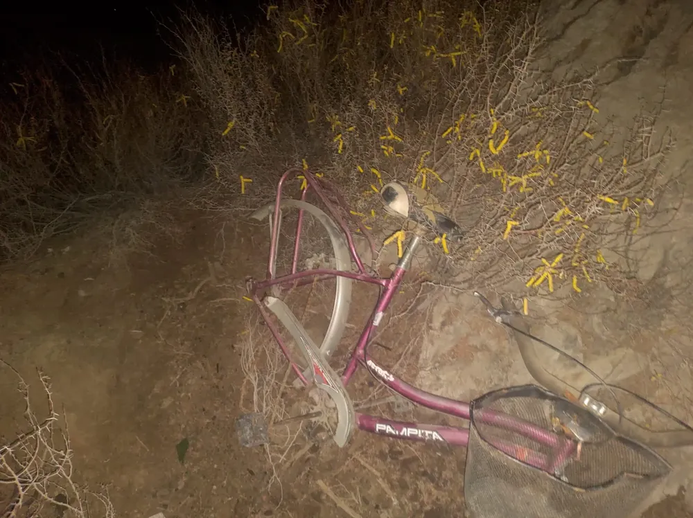 4a46987d-a261-43a6-aeed-b26d476dca5c