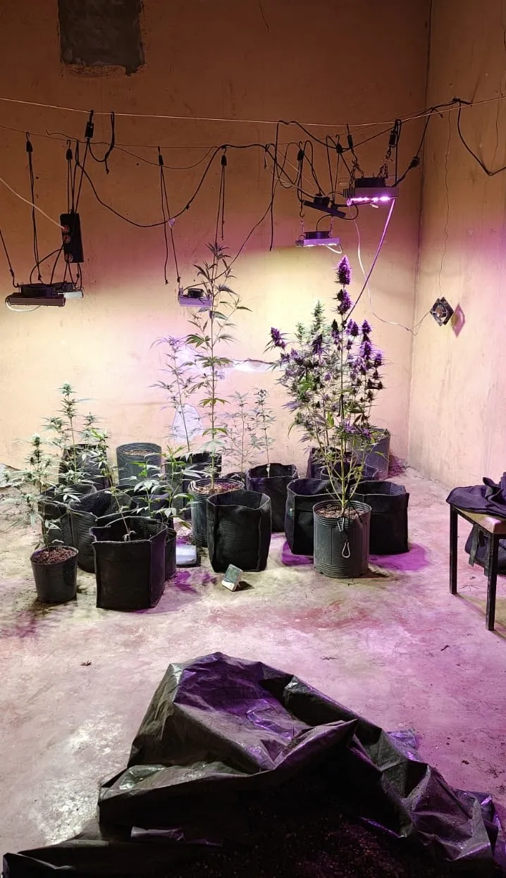 533befb4-51f7-4b5c-987b-dc468eb8cdb1