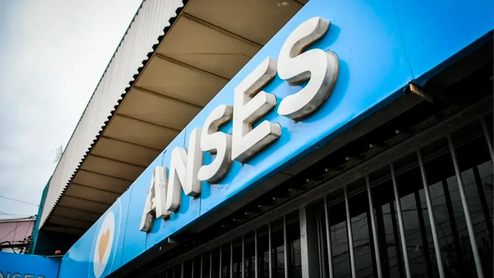 anses portada