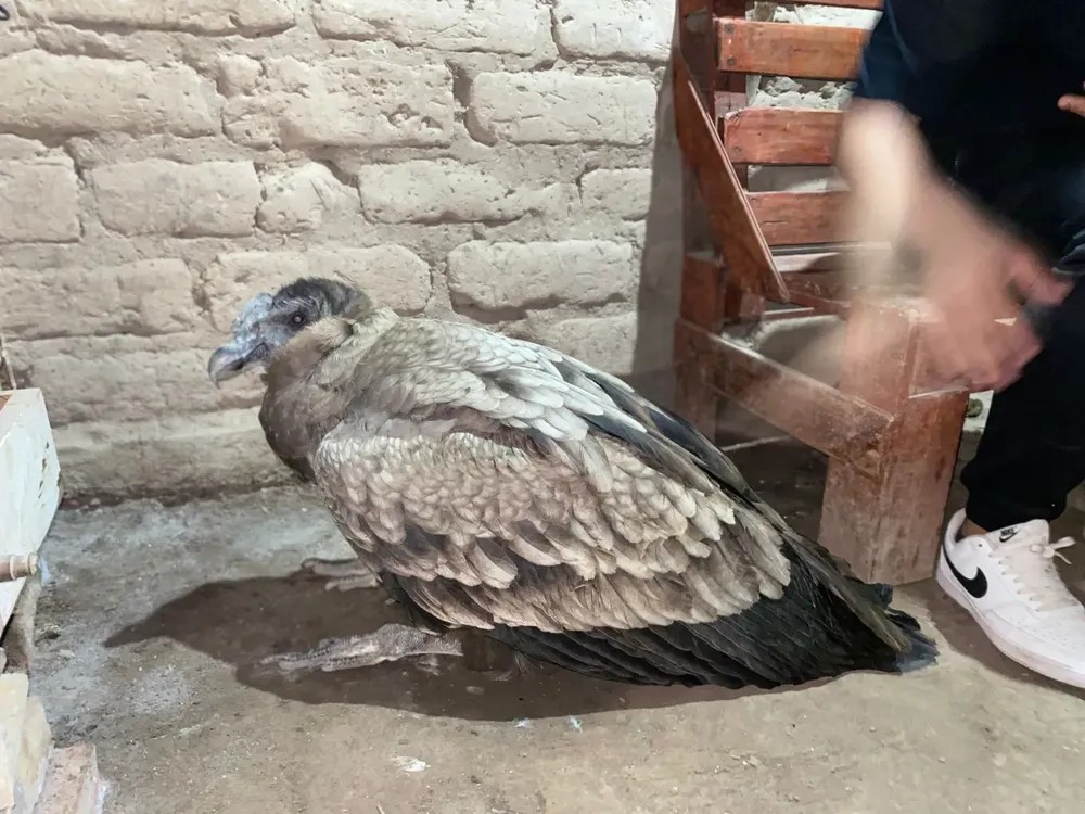 99e9bf0f-b333-46d7-931d-8b68abc14dea