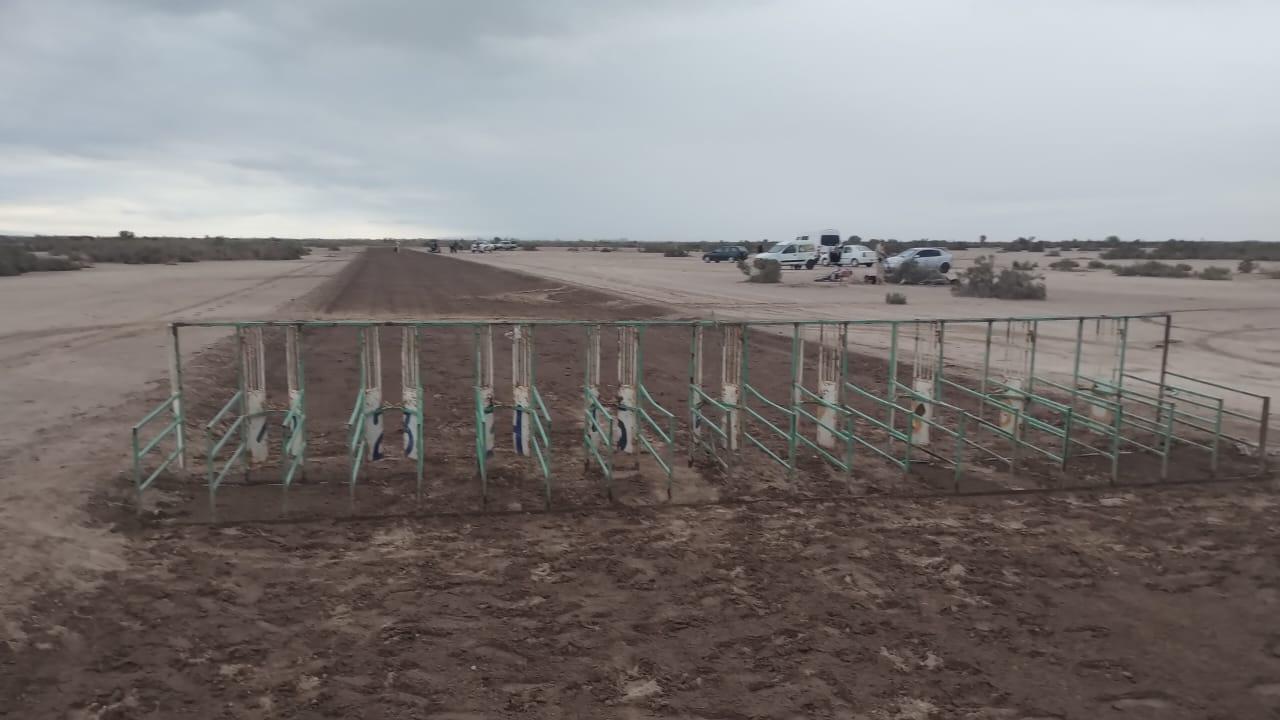 WhatsApp Image 2024-02-18 at 15.56.49