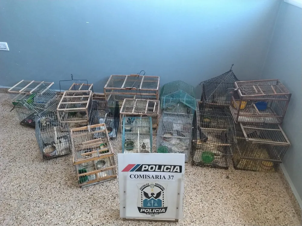 2a844a15-49f6-4f87-a63d-98ff304e1bef