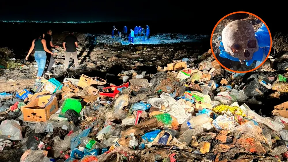 ed348308-4ee2-4a47-b74c-000679047f95