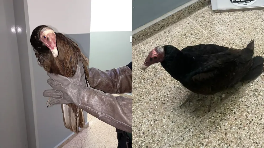 43a1d97e-05d1-422e-867d-75c7f758751f