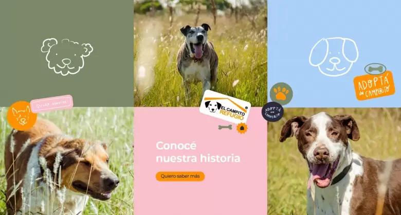 626c125673556__780x420