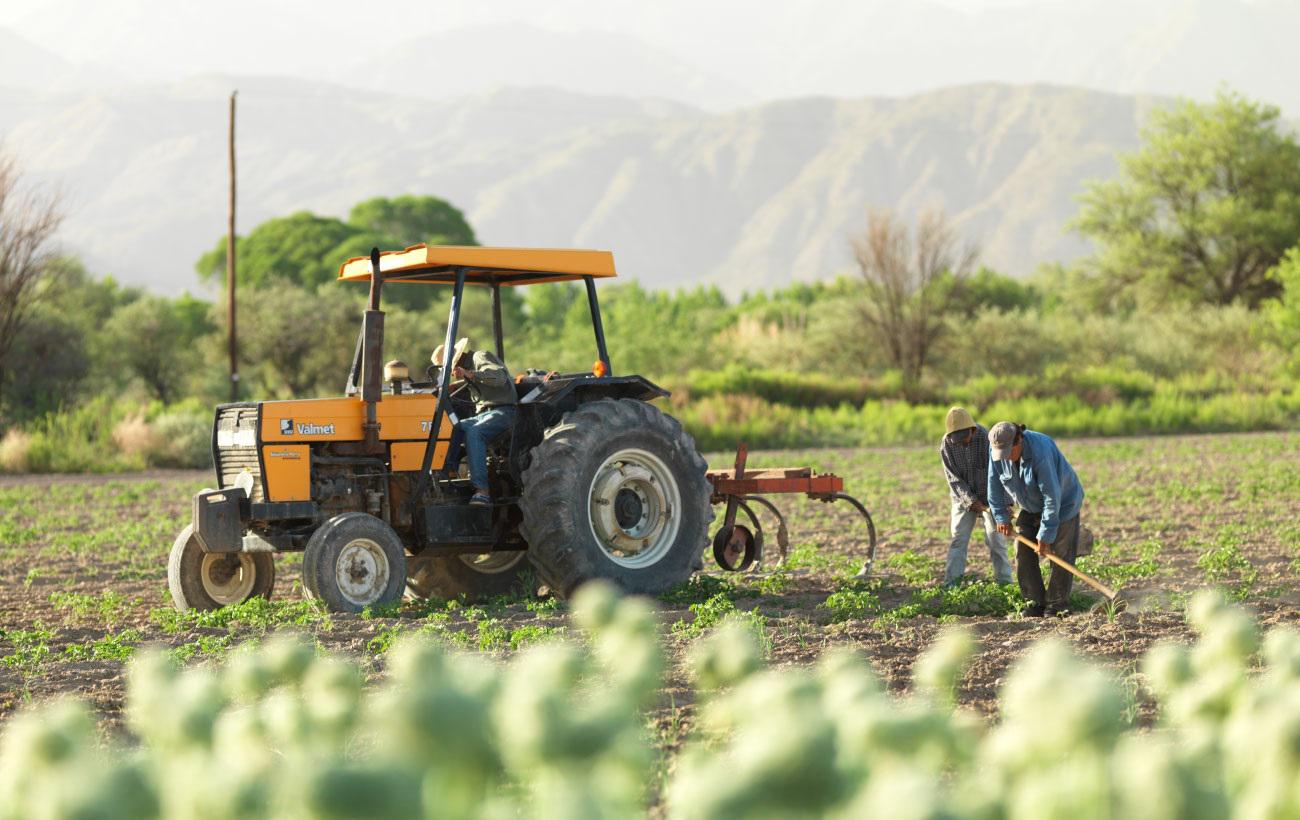 FOTOGRAFIA-AGRICULTURA-01