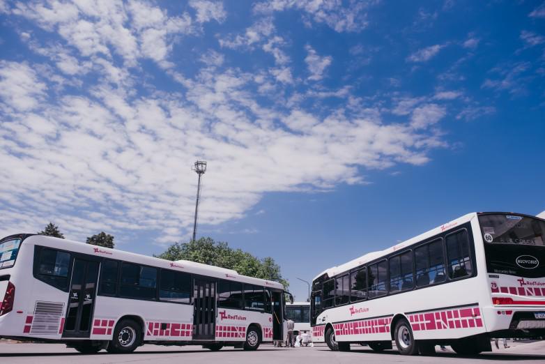 colectivos123