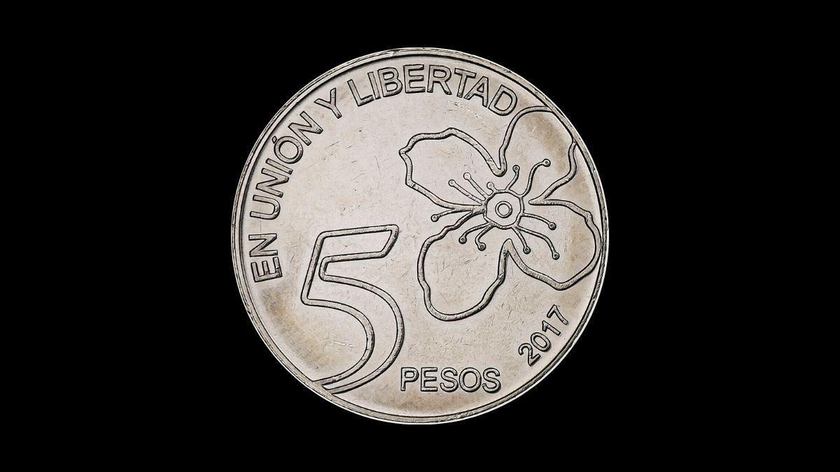diseno-titulo-2024-02-23t045557013jpg