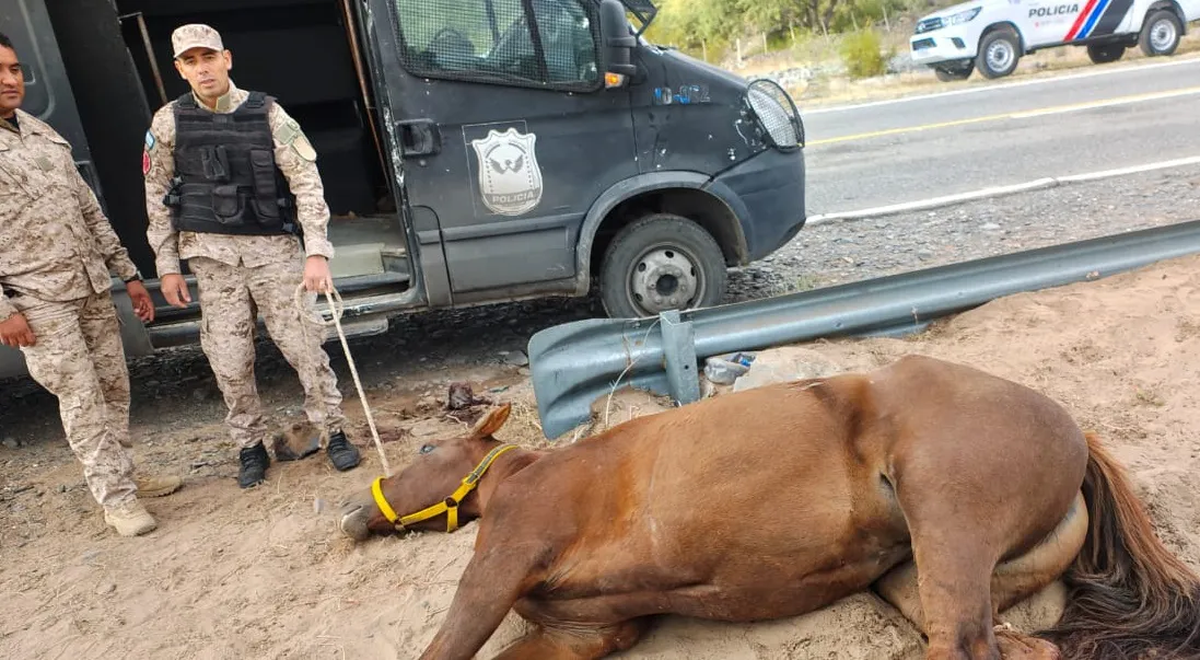 9d2ac16d-596f-4cab-ac79-c14878081991