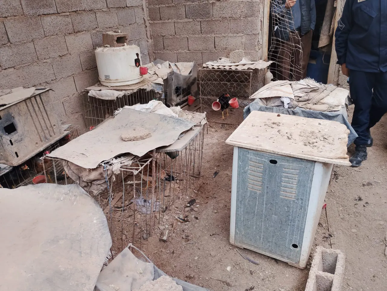 4edee7f4-3ed6-46c0-bf5b-e51569d3332c