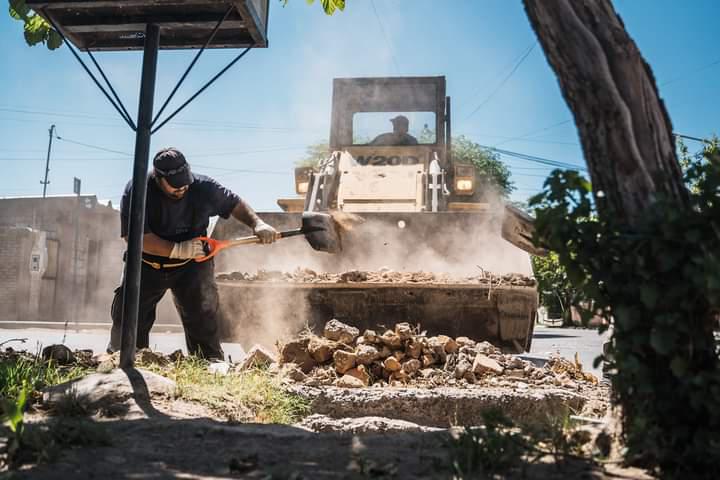 WhatsApp Image 2024-01-19 at 21.30.29