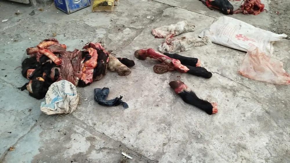 50f58d4f-9630-4338-9a91-2af39fc4fe8a