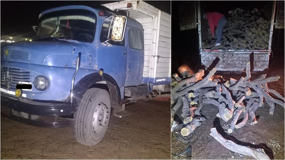 InShot_20240821_181817022