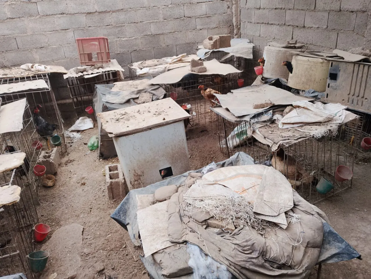 61ff4f09-a653-448d-9edf-3b66157b6669