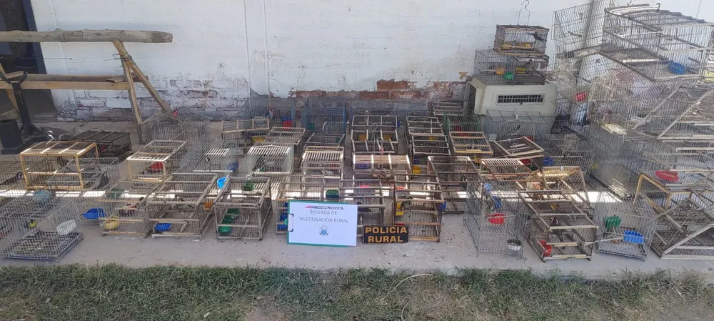 dd9e0552-1a87-49ff-8fa6-43337406644c